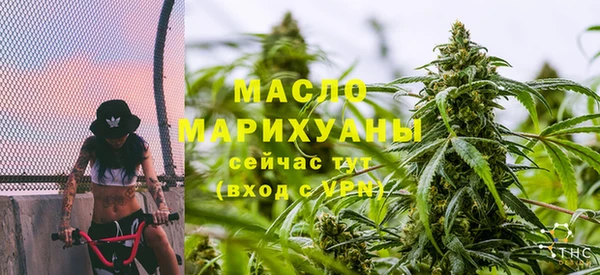 ECSTASY Горняк