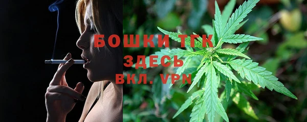 ECSTASY Горняк