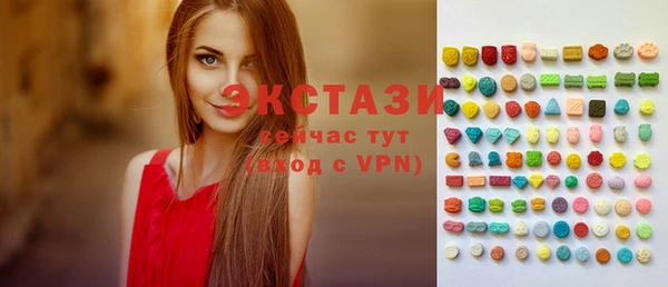 ECSTASY Горняк