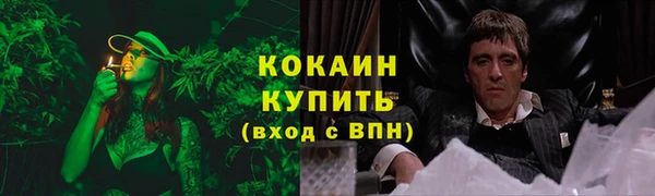 mdpv Гусев