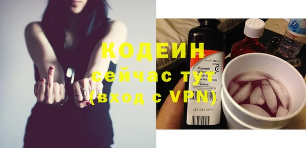 ECSTASY Горняк