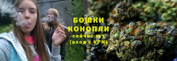 ECSTASY Горняк