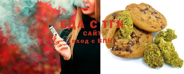 ECSTASY Горняк