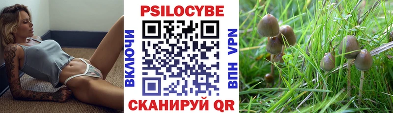 Псилоцибиновые грибы GOLDEN TEACHER  Купить  Верхоянск 