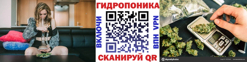Купить закладки Верхоянск Конопля OG Kush